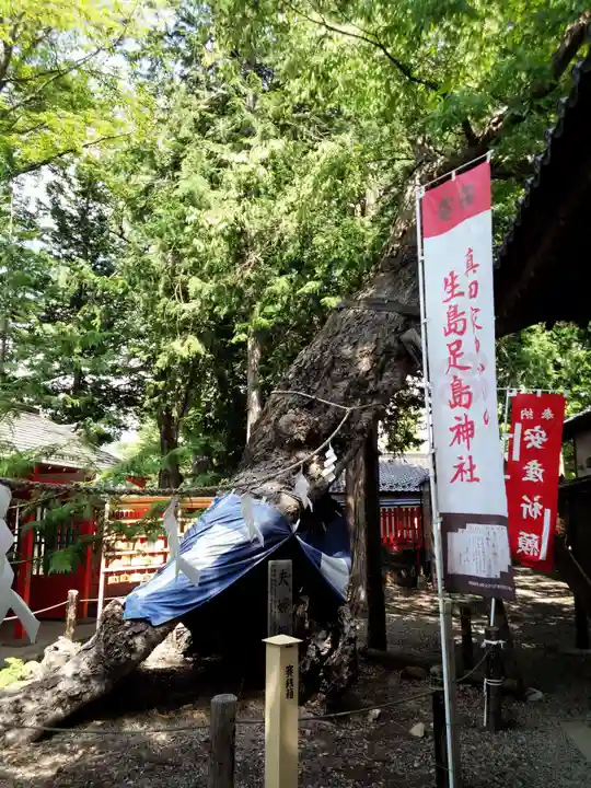 生島足島神社のその他建物