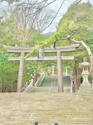 函館八幡宮の{uncategorized: "未分類", other: "その他", undefined: "問題あり", building: "その他建物", grave: "お墓", sacred_gate: "鳥居", guardian: "狛犬", statue: "像", buddha: "仏像", history: "歴史", nature: "自然", garden: "庭園", animal: "動物", pagoda: "塔", temizu: "手水舎", mountain_gate: "山門・神門", sanctuary: "本殿・本堂", subordinate: "末社・摂社", art: "芸術", scenery: "景色", jizo: "地蔵", ema: "絵馬", goshuin: "御朱印", omikuji: "おみくじ", items: "授与品その他", amulet: "お守り", goshuincho: "御朱印帳", eats: "食事", festival: "お祭り", votive_dance: "神楽", shichigosan: "七五三参", wedding: "結婚式", experience: "体験その他", initially: "初詣", around: "周辺", anti_infection: "感染症対策"}