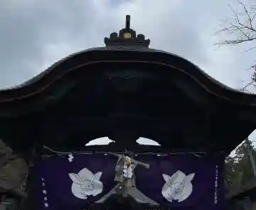 三尾神社の{uncategorized: "未分類", other: "その他", undefined: "問題あり", building: "その他建物", grave: "お墓", sacred_gate: "鳥居", guardian: "狛犬", statue: "像", buddha: "仏像", history: "歴史", nature: "自然", garden: "庭園", animal: "動物", pagoda: "塔", temizu: "手水舎", mountain_gate: "山門・神門", sanctuary: "本殿・本堂", subordinate: "末社・摂社", art: "芸術", scenery: "景色", jizo: "地蔵", ema: "絵馬", goshuin: "御朱印", omikuji: "おみくじ", items: "授与品その他", amulet: "お守り", goshuincho: "御朱印帳", eats: "食事", festival: "お祭り", votive_dance: "神楽", shichigosan: "七五三参", wedding: "結婚式", experience: "体験その他", initially: "初詣", around: "周辺", anti_infection: "感染症対策"}