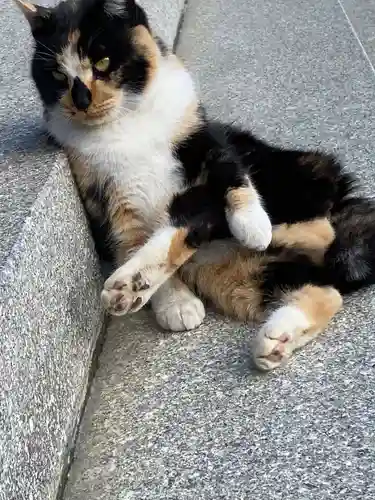 西泉寺(福島県)