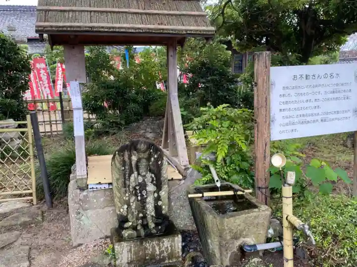 金蓮寺の手水舎