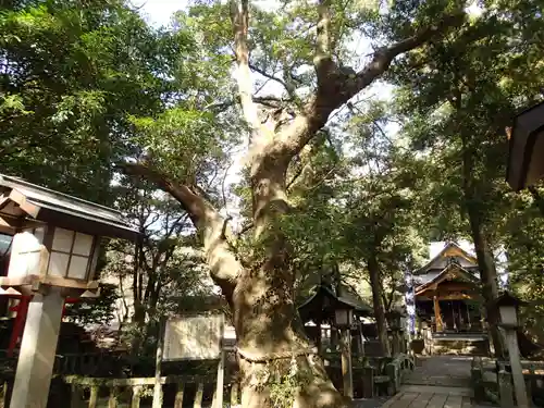 住吉神社の自然