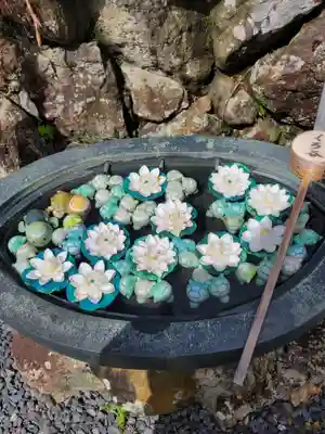 くろ谷 金戒光明寺の手水舎