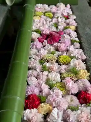 水無瀬神宮(大阪府)