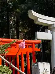 常磐神社(茨城県)