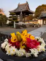 真言宗 善通寺派 薬王寺(香川県)