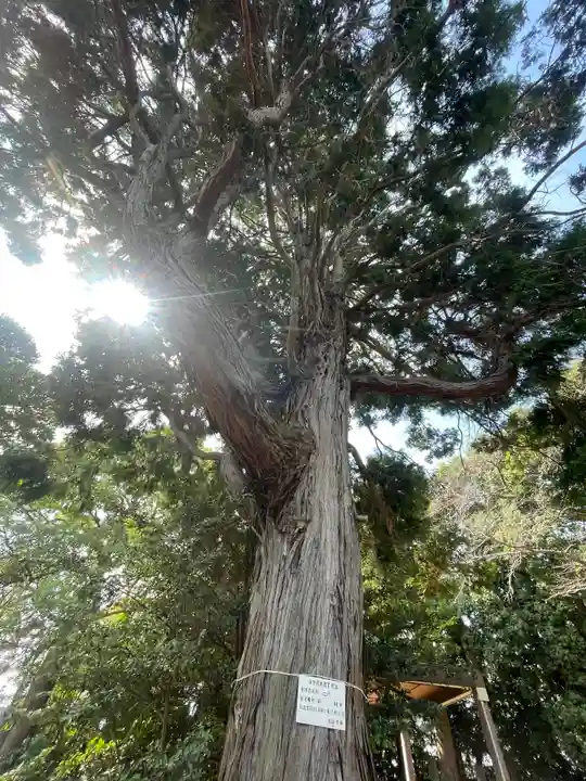 成顕寺(千葉県)