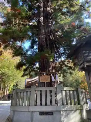 諏訪大社下社秋宮(長野県)