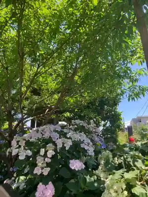 寶安寺（宝安寺）(神奈川県)