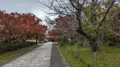 神光院(京都府)