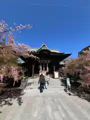 桜神宮(東京都)