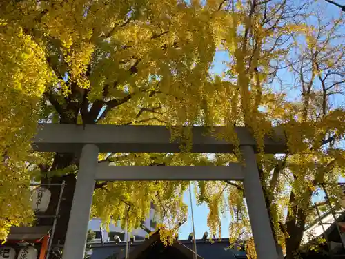 波除神社（波除稲荷神社）の鳥居