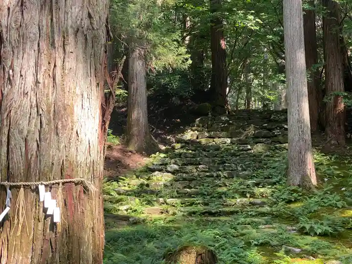 平泉寺白山神社(福井県)