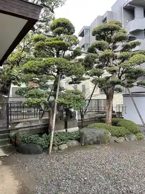 天祖諏訪神社(東京都)