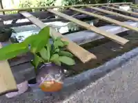 福井神社(福井県)