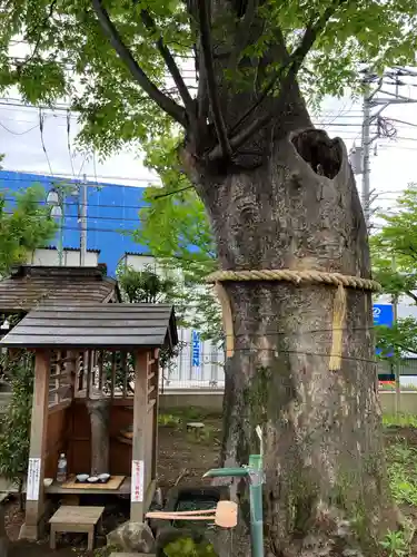 阿佐谷弁天社(東京都)