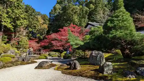 くろ谷 金戒光明寺(京都府)