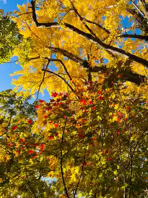 鳥飼八幡宮(福岡県)