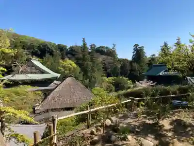 龍隠庵の{uncategorized: "未分類", other: "その他", undefined: "問題あり", building: "その他建物", grave: "お墓", sacred_gate: "鳥居", guardian: "狛犬", statue: "像", buddha: "仏像", history: "歴史", nature: "自然", garden: "庭園", animal: "動物", pagoda: "塔", temizu: "手水舎", mountain_gate: "山門・神門", sanctuary: "本殿・本堂", subordinate: "末社・摂社", art: "芸術", scenery: "景色", jizo: "地蔵", ema: "絵馬", goshuin: "御朱印", omikuji: "おみくじ", items: "授与品その他", amulet: "お守り", goshuincho: "御朱印帳", eats: "食事", festival: "お祭り", votive_dance: "神楽", shichigosan: "七五三参", wedding: "結婚式", experience: "体験その他", initially: "初詣", around: "周辺", anti_infection: "感染症対策"}