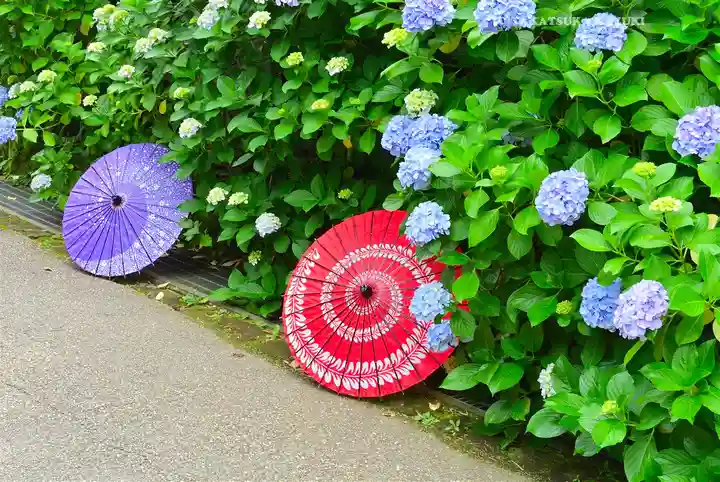円覚寺(神奈川県)