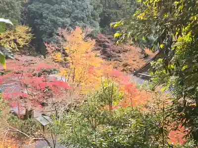 宗鏡寺(兵庫県)