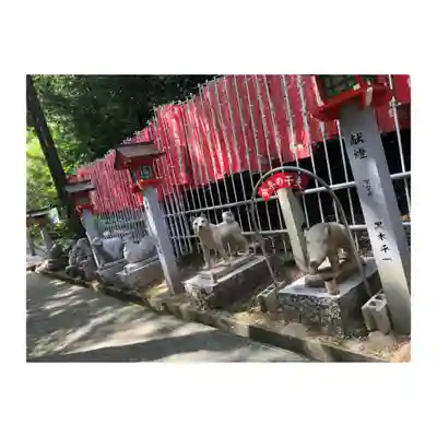 十二神社の狛犬