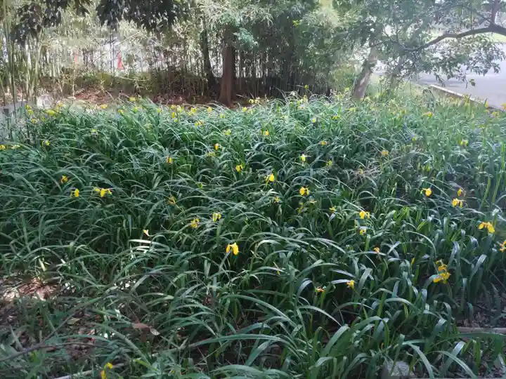菊田神社の自然