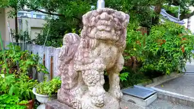 白山神社(新栄)の狛犬