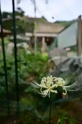 宝城坊(神奈川県)