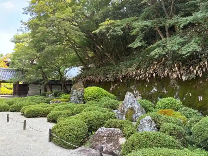 知恩院(京都府)