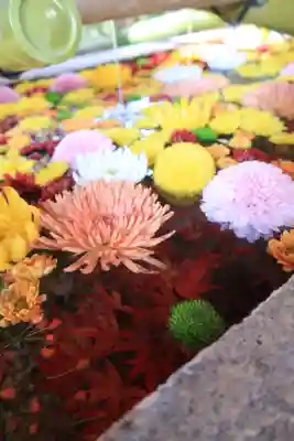 石清水八幡宮の手水舎