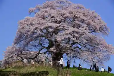 吉備津神社(岡山県)