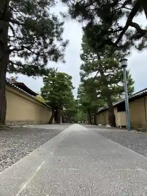 大徳寺のその他建物
