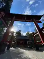 北口本宮冨士浅間神社の鳥居
