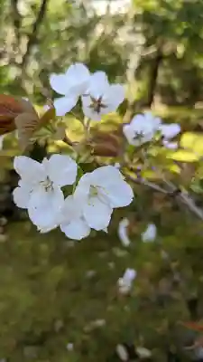 等持院(京都府)