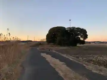 八幡神社(千葉県)