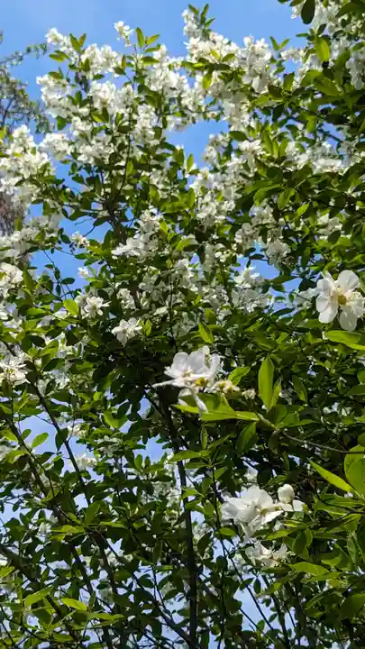 惠心院(京都府)