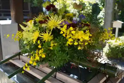 松陰神社の手水舎
