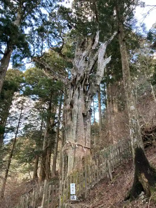 玉置神社の{uncategorized: "未分類", other: "その他", undefined: "問題あり", building: "その他建物", grave: "お墓", sacred_gate: "鳥居", guardian: "狛犬", statue: "像", buddha: "仏像", history: "歴史", nature: "自然", garden: "庭園", animal: "動物", pagoda: "塔", temizu: "手水舎", mountain_gate: "山門・神門", sanctuary: "本殿・本堂", subordinate: "末社・摂社", art: "芸術", scenery: "景色", jizo: "地蔵", ema: "絵馬", goshuin: "御朱印", omikuji: "おみくじ", items: "授与品その他", amulet: "お守り", goshuincho: "御朱印帳", eats: "食事", festival: "お祭り", votive_dance: "神楽", shichigosan: "七五三参", wedding: "結婚式", experience: "体験その他", initially: "初詣", around: "周辺", anti_infection: "感染症対策"}