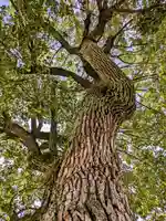 三津厳島神社(愛媛県)