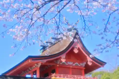 富士山本宮浅間大社(静岡県)