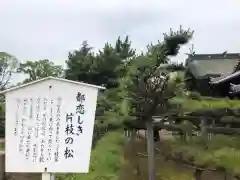 尾上神社の自然