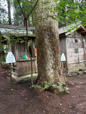 心清水八幡神社(福島県)