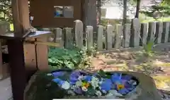 飯笠山神社の手水