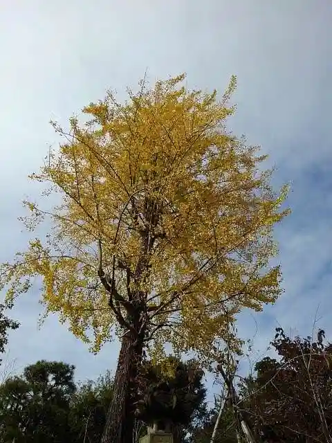 狭山山不動寺の庭園