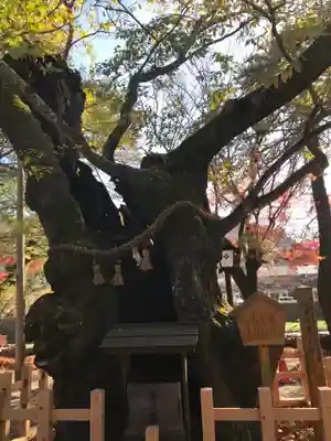 彌榮神社の自然