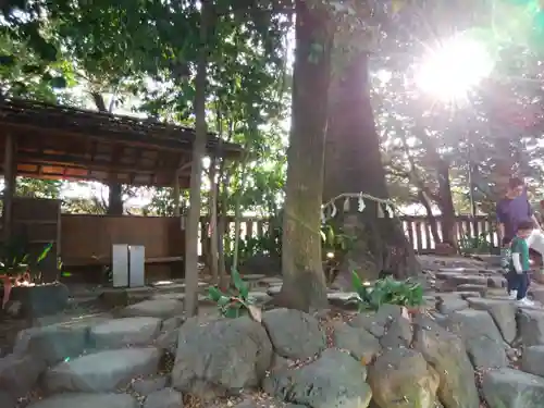 川越氷川神社の庭園