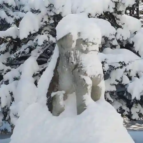 網走神社の狛犬