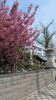 新琴似神社(北海道)