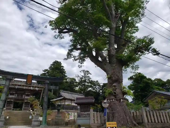 三国神社(福井県)